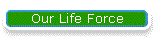 Our Life Force